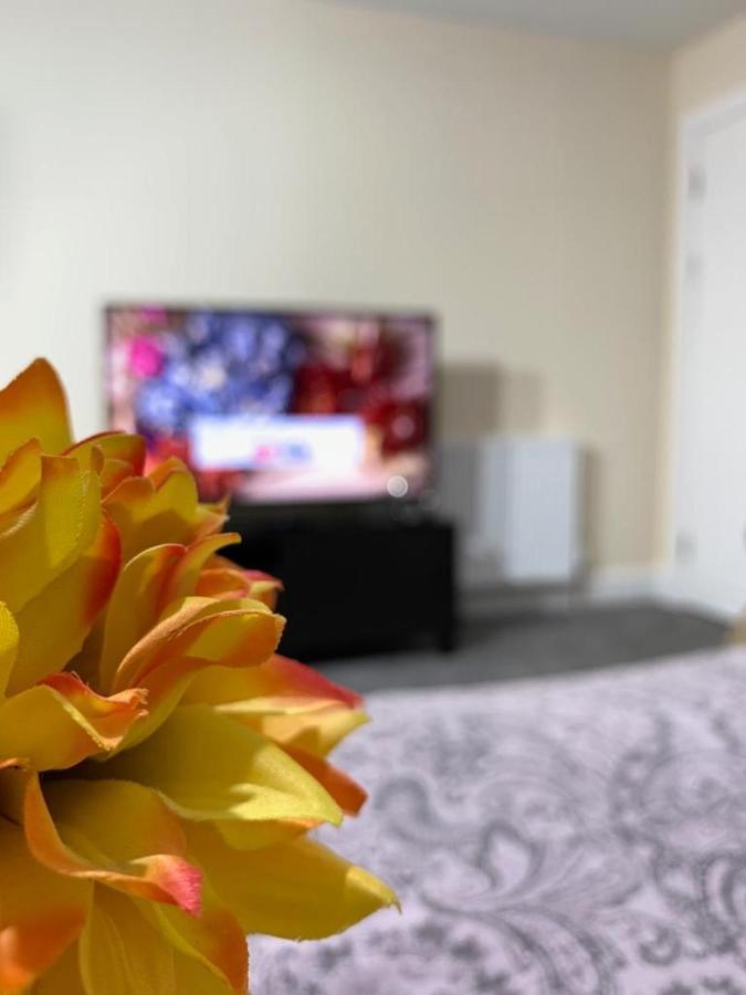 Appartement Ocean *